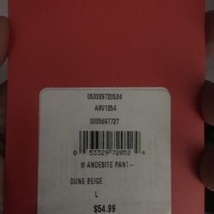 The north face pants